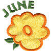 Rustic Flower with June Lettering