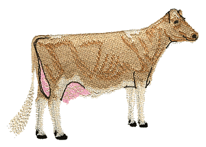 Dairy Cow - larger