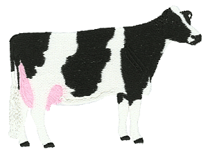 Black and White Dairy Cow