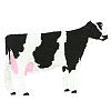 Machine Embroidery Designs Cattle category icon