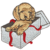 Puppy in a Box