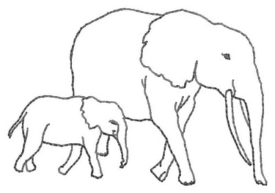 elephant outline painting