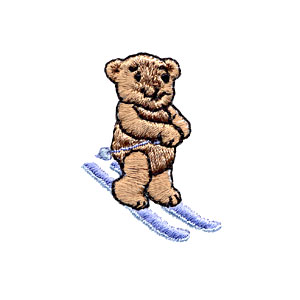 Ski Teddy #1