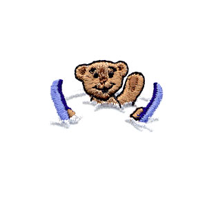 Ski Teddy #3