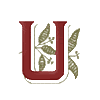 Victorian Monogram 5 Letter U, Smaller