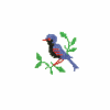 Cross Stitch Bird