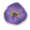 Flowers category icon