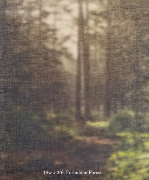 28ct Forbidden Forest Printed Linen / 18w x 20h