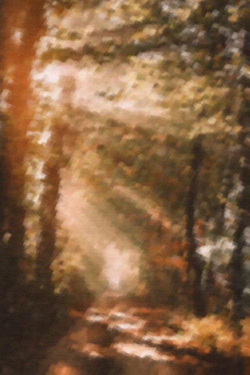 28ct Sunlit Path Printed Linen / 18w x 20h