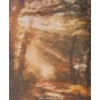 Image of 28ct Sunlit Path Printed Linen / 18w x 20h