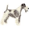 Fox Terrier (Wire Haired)