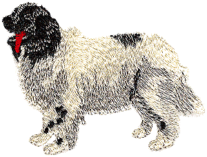 Newfoundland Dog (Landseer)