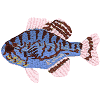 Bluegill (Sunfish)