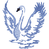 Swan, landing