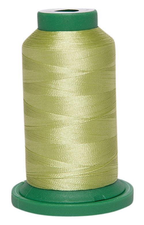 Exquisite Polyester Embroidery Thread, 1000m / GREEN ONION (983)