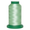 Exquisite Polyester Embroidery Thread, 1000m / TEA GREEN (947)