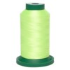 Exquisite Polyester Embroidery Thread, 1000m / SPRING GREEN (21)