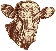 Cow Head