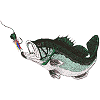 Bass Fish/Lure