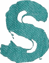 Paint Style Letter S