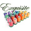 Exquisite Embroidery Thread category icon
