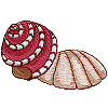 Seashells 1