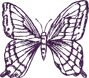 Butterfly Outlines