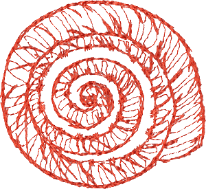 Spiral Seashell Outline