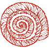 Spiral Seashell Outline