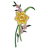 Smaller Single Daffodil