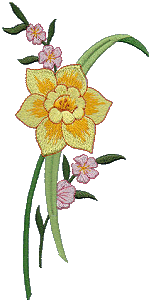 Larger Single Daffodil