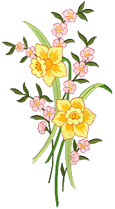 Larger Two Daffodil Bouquet, split