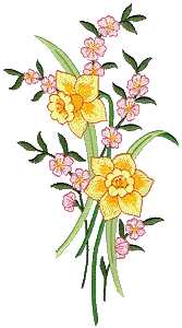Smaller Two Daffodil Bouquet, split