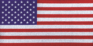 American Flag, large