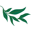 Leaf 5