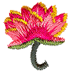 Lotus (small)