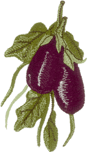 Lustrous Eggplant