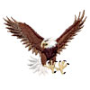 Spead Eagle