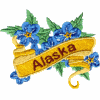 Alaska State Flower (Forget Me Not)