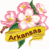 Arkansas State Flower (Apple Blossom)