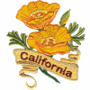 California State Flower (California Poppy)