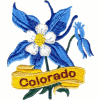 Colorado State Flower (Rocky Mtn. Columbine)