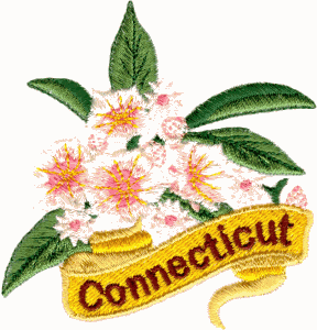 Connecticut State Flower (Mountain Laurel)