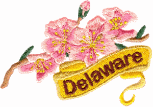 Delaware State Flower (Peach Blossom)