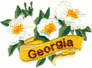 Georgia State Flower (Cherokee Rose)