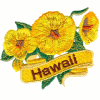 Hawaii State Flower 