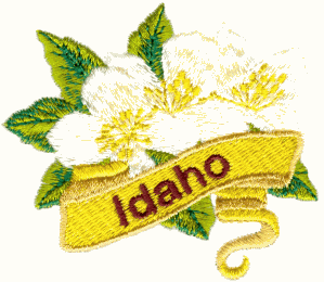 Idaho State Flower (Syringa)