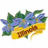 Illinois State Flower (Violet)