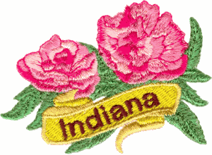 Indiana State Flower (Peony)