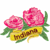 Indiana State Flower 